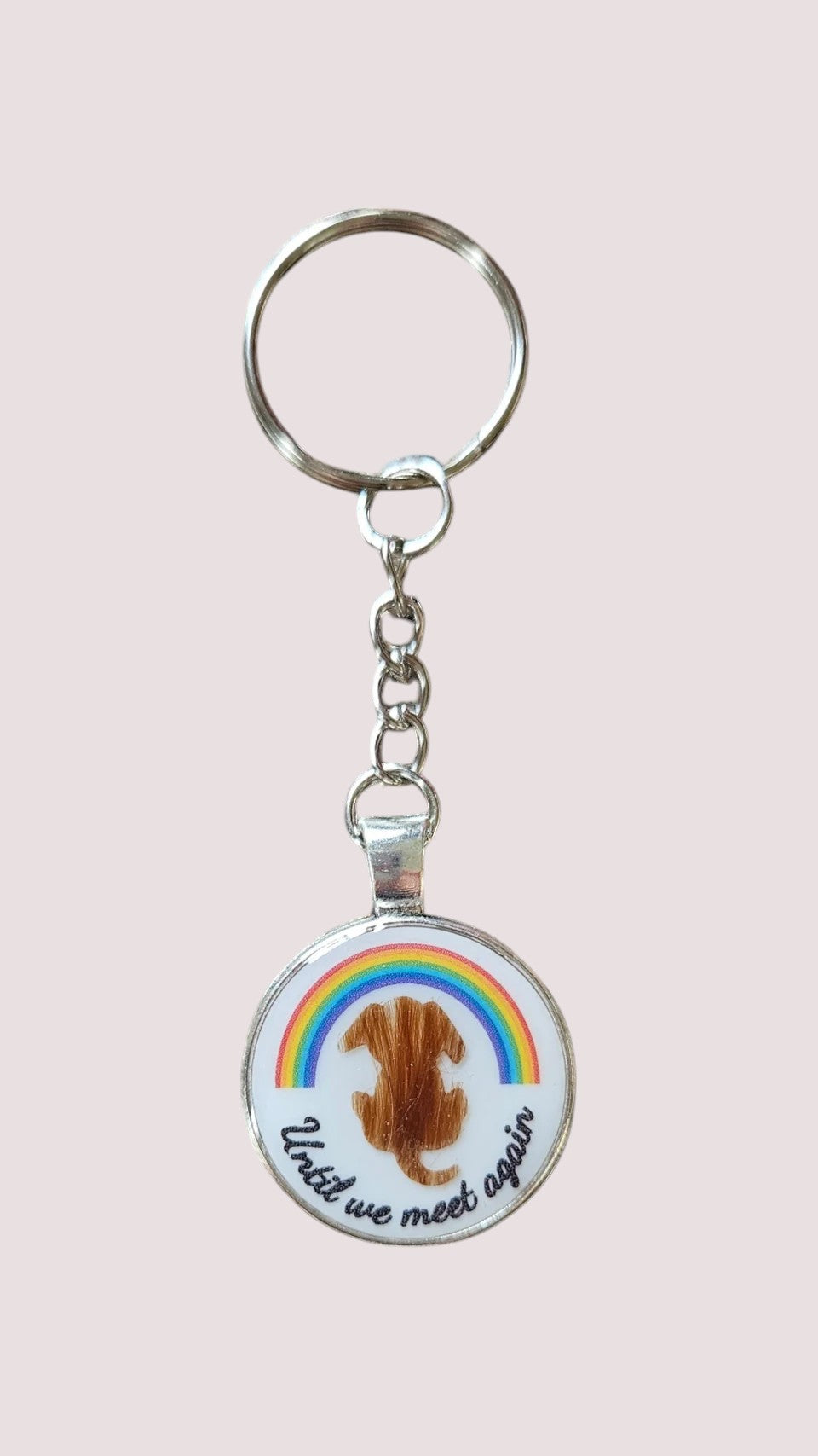 Pendant "Rainbow" dog, cat or rabbit