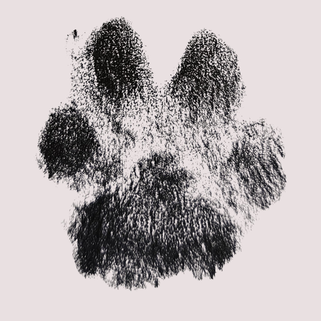 Schlüsselanhänger "Pfötchenliebe" original Pfotenabdruck deines Tieres