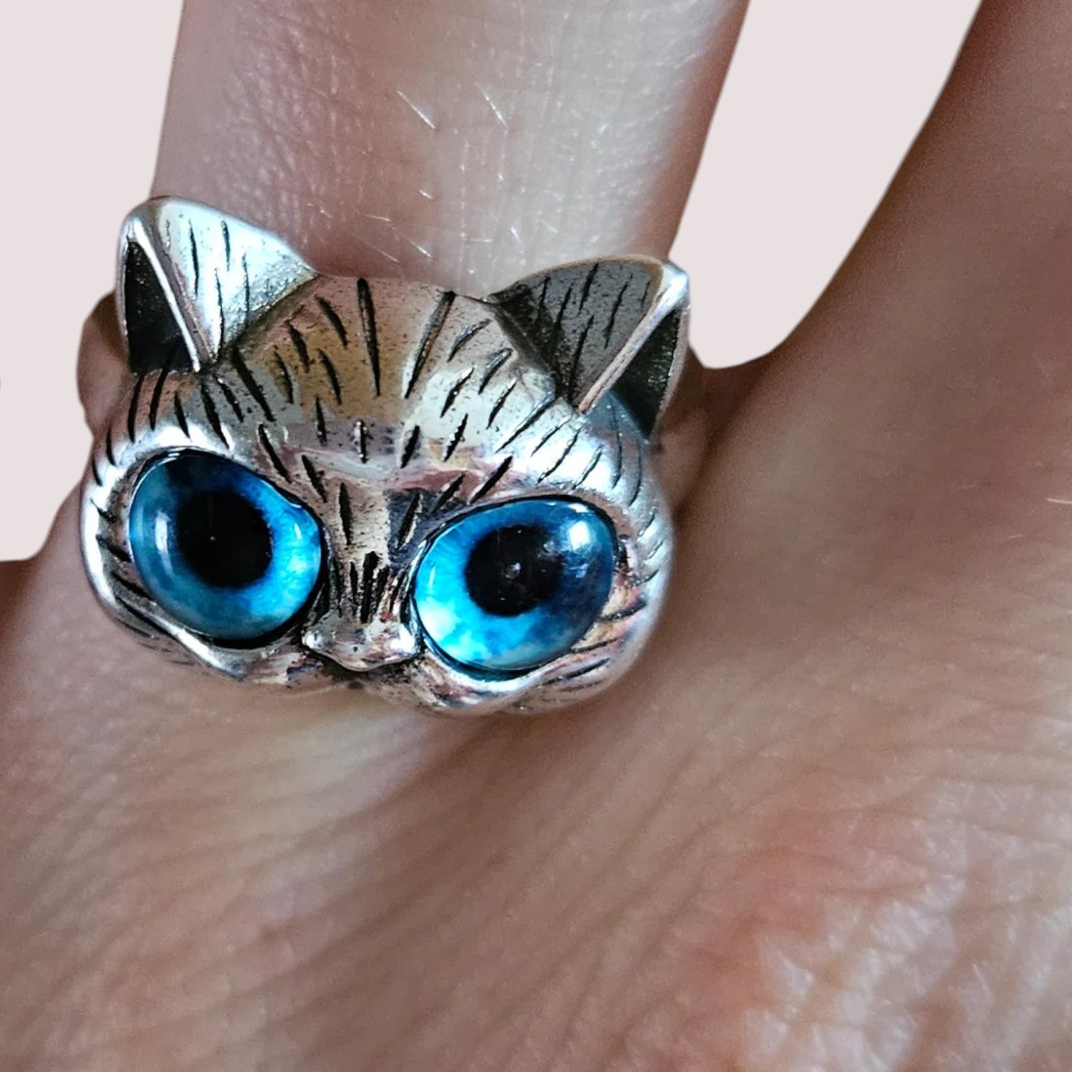 Ring Katze