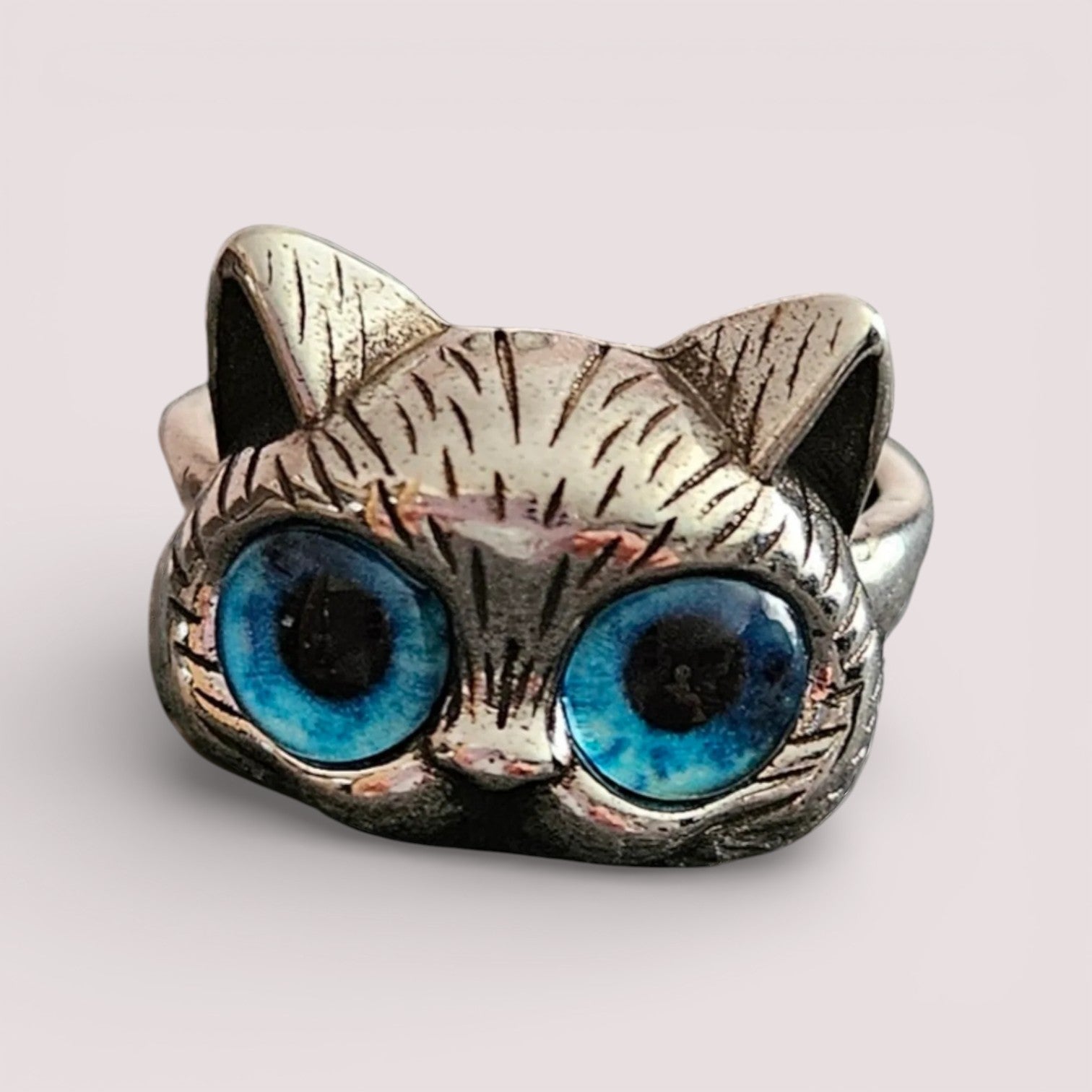 Ring Katze