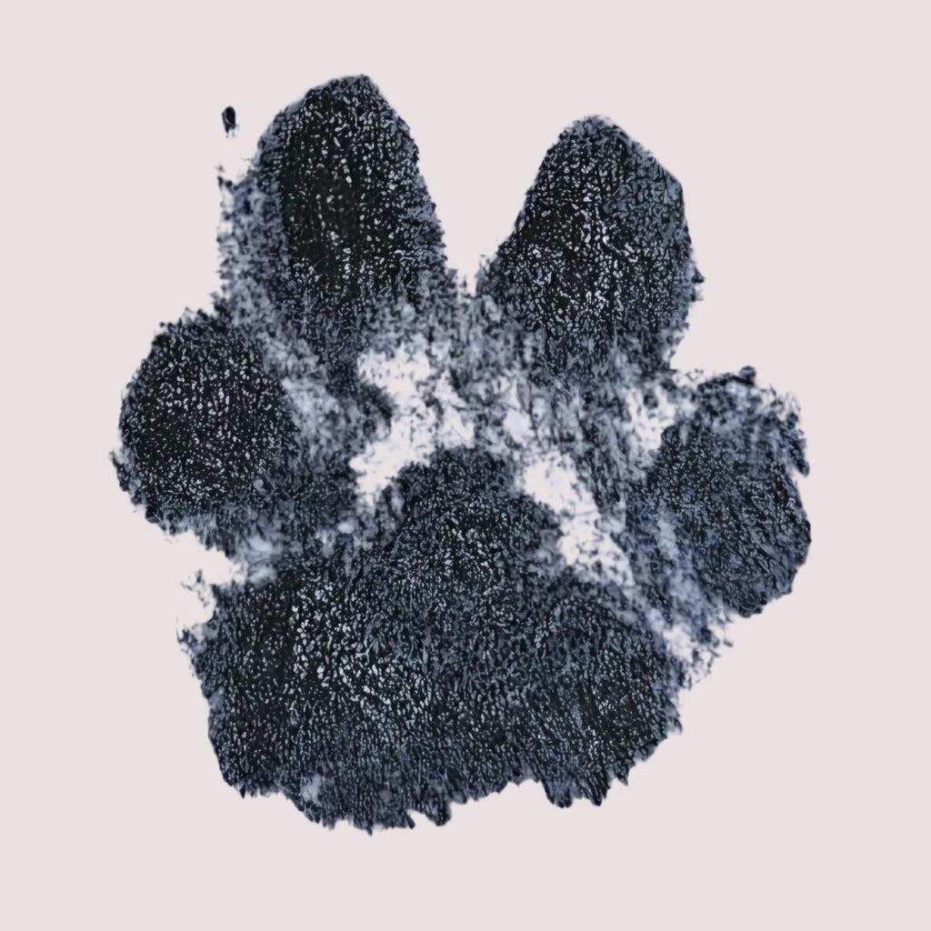 Necklace "4er Glück" dog, cat, rabbit ...