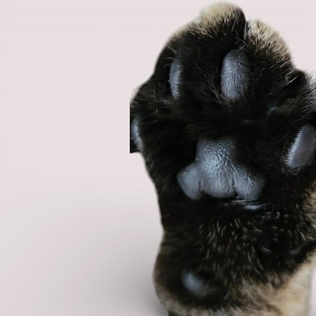 Necklace "4er Glück" dog, cat, rabbit ...